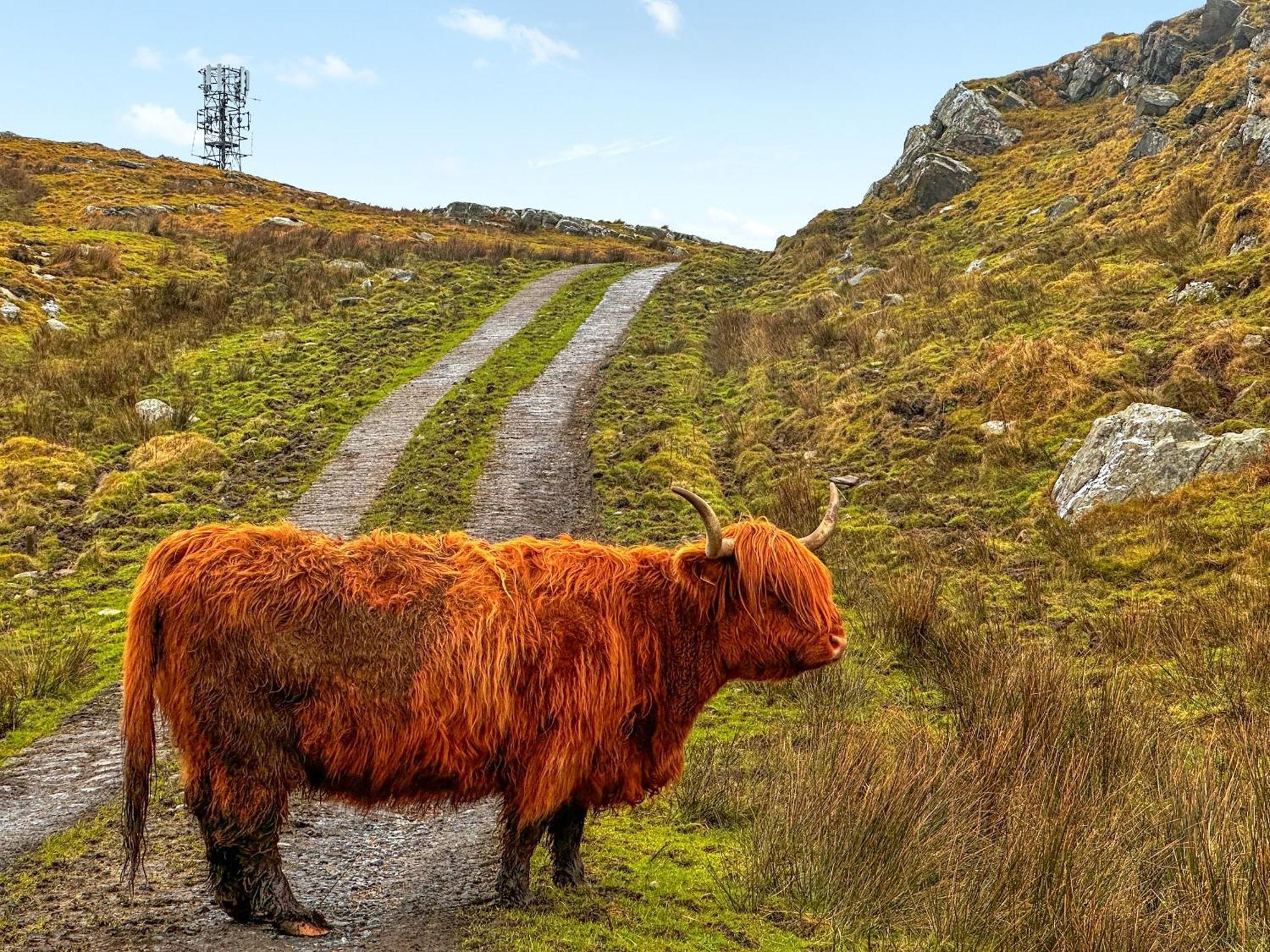 Burnside Cottage Bruichladdich エクステリア 写真